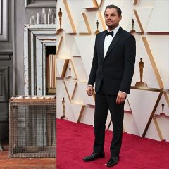 Viewers Are Losing It Over Leonardo DiCaprio Bringing Camila Morrone as His Date to the Oscars