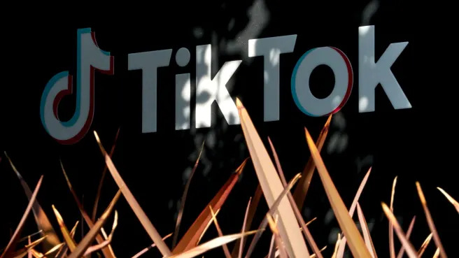 TikTok ban looms after Senate passes bill: What's next