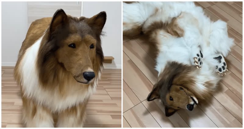 Japanese man spends $15,700 on dog costume to fulfill lifelong dream of transfor..