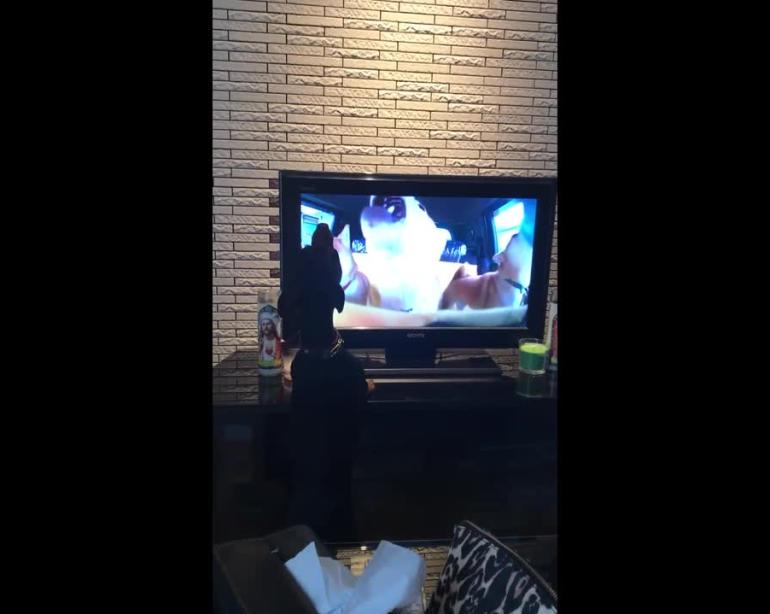 Doggy In Japan Makes Ear Splitting Howl At Dogs On Tv Screen Video