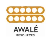 Awalé Announces New Gold Discovery on the Odienné Project