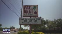 Explore Red Beet Farm in Tampa