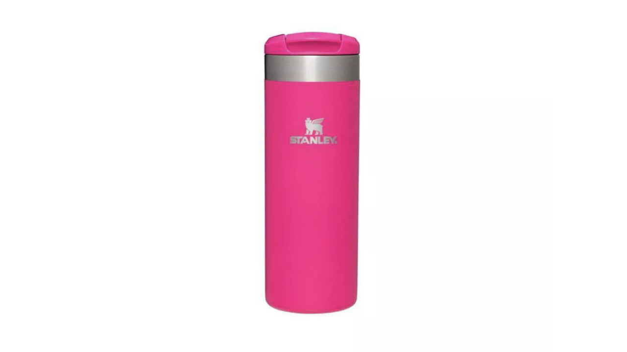 Stanley 2 pk 20 oz. Stainless Steel H2.0 Flowstate Quencher Tumblers Pink  Vibes/Frost
