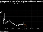 Broadcom Drops After Sluggish Non-AI Sales Drag Down Forecast