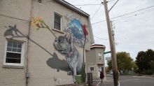 City orders Hintonburg woman to remove 2-storey bulldog mural