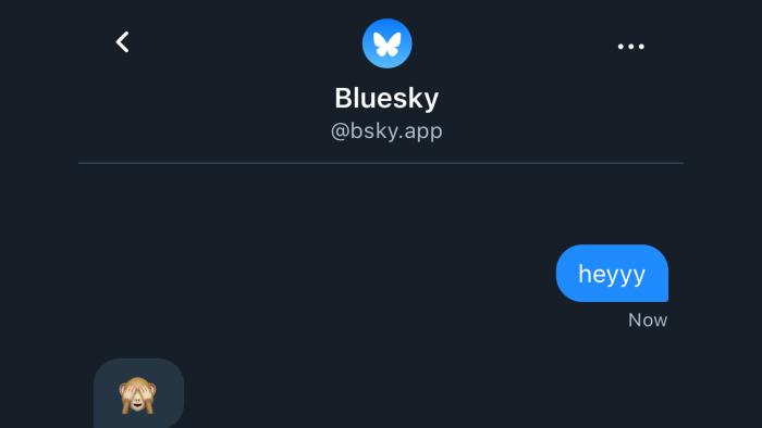 Bluesky has DMs.