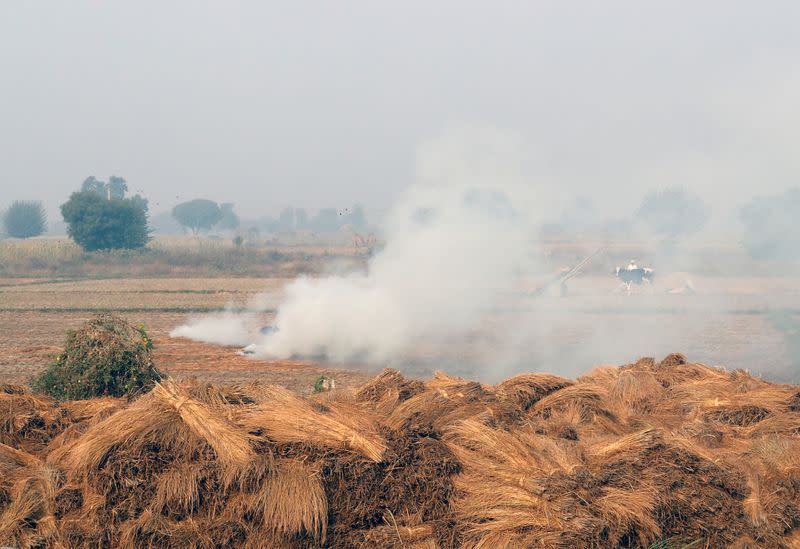 India aims to cut crop waste burning in Punjab and Haryana by 80