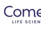 Comera Life Sciences Designates Dorothy Clarke to Board of Directors