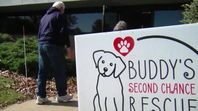 PHOTOS: Bills Mafia dogs