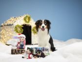 BARK Celebrates a "Fun, Old-Fashioned Family Christmas" with the Launch of Limited-Edition National Lampoon’s Christmas Vacation Dog Toys