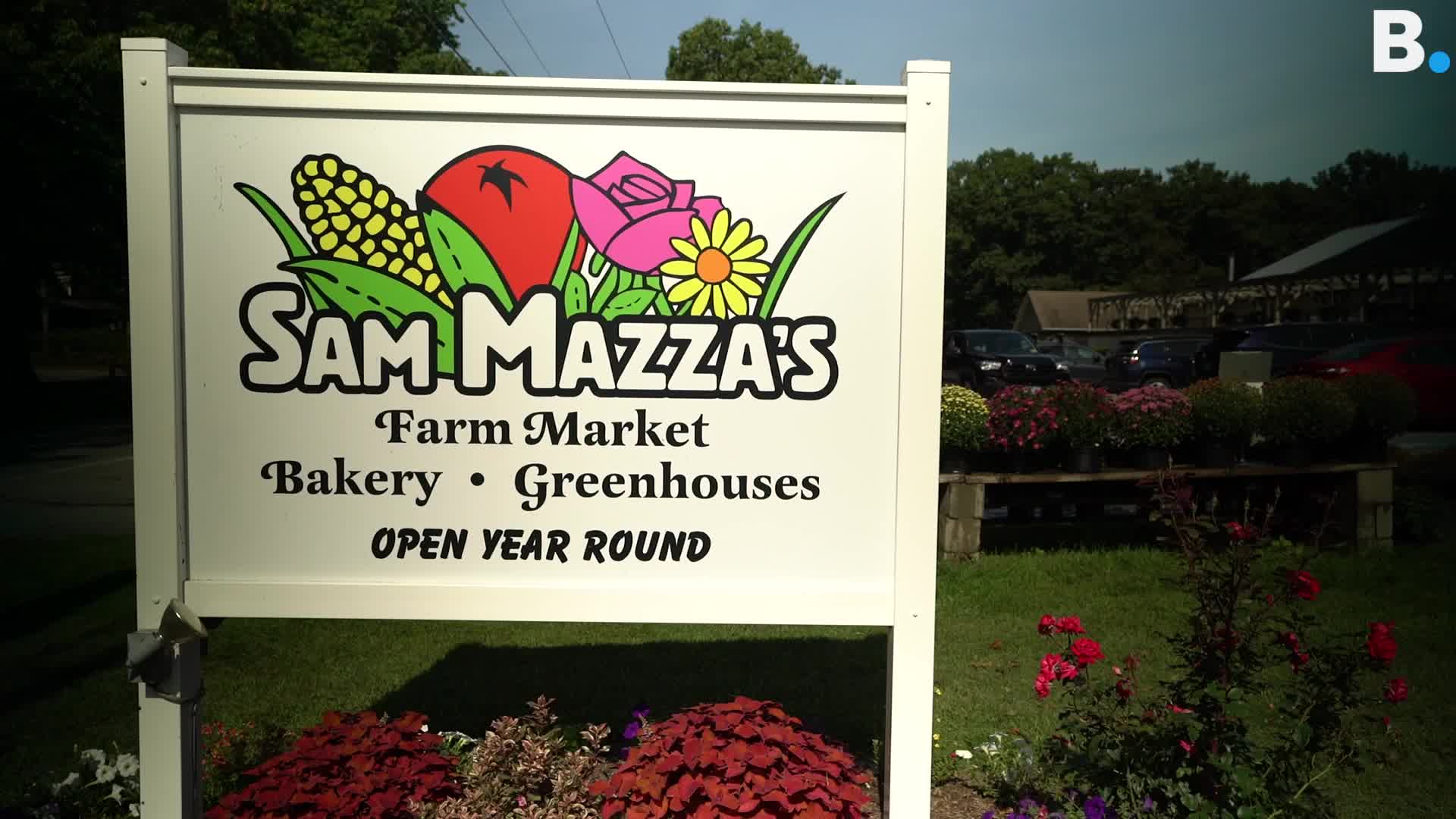 How the rainy summer has impacted a Colchester farms corn maze