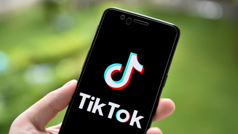 CHINA - 2020/09/20: In this photo illustration a TikTok logo is seen displayed on a smartphone. (Photo Illustration by Sheldon Cooper /SOPA Images/LightRocket via Getty Images)