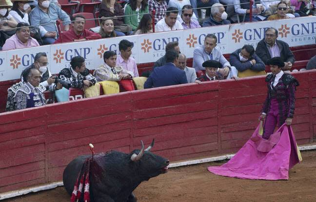 Photo of Las corridas de toros pueden ser prohibidas en la Ciudad de México, luego de consultar con el parlamento local