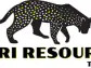 Tajiri Resources To Close Non-Brokered Private Placement