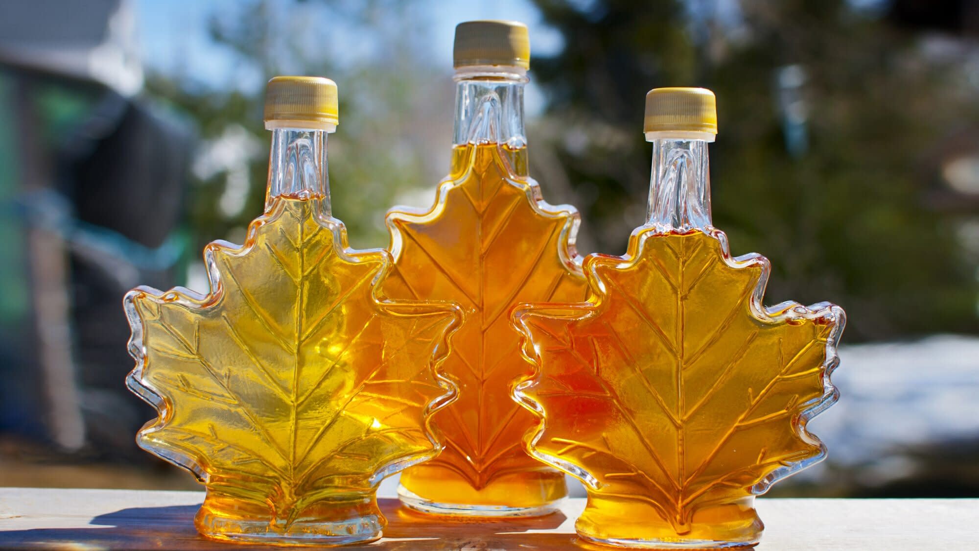 You Ve Been Storing Maple Syrup Wrong Your Entire Life Here S How To Keep It Fresh