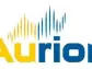 Aurion Regional Scout Drilling Intersects Four New Gold Occurrences on Wholly Owned Risti