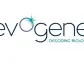 Evogene and The Kitchen FoodTech Hub by Strauss Group Established Finally Foods Ltd. - Revolutionizing Protein Production in Plants for the Food Industry