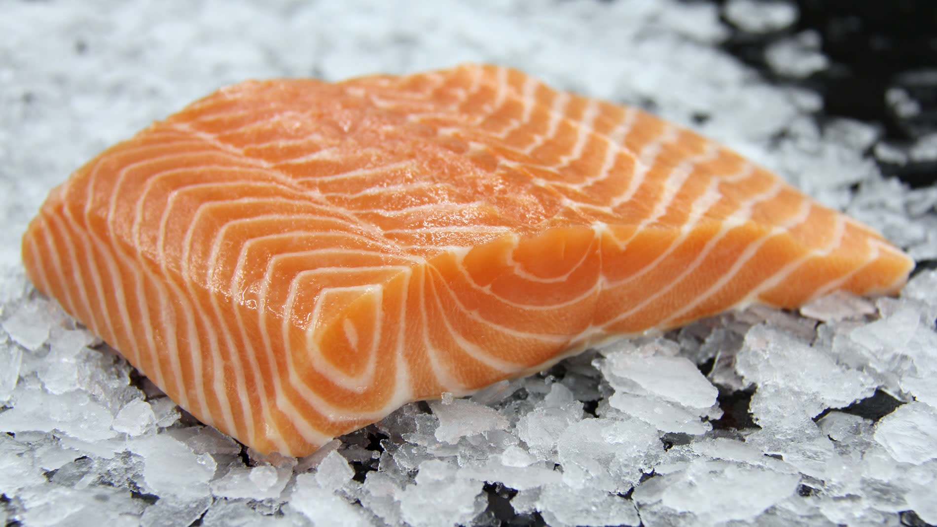 The 6 Best Sites To Buy Sushi Grade Fish Online According To Chefs - roblox farm life red snapper