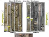 Tearlach’s Gabriel Project In Tonopah Nevada Drill Results Assay up to 1410 ppm Lithium