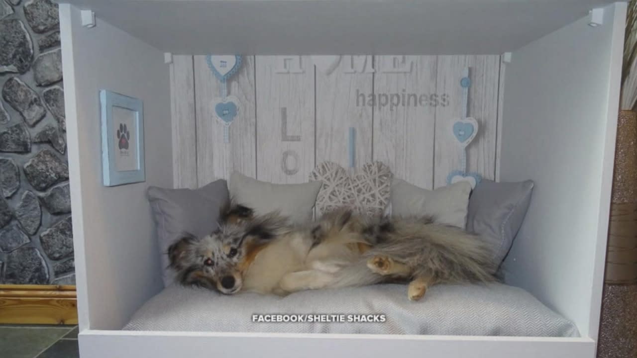 Woman Turns Old Dressers Into Cozy Personalized Dog Beds