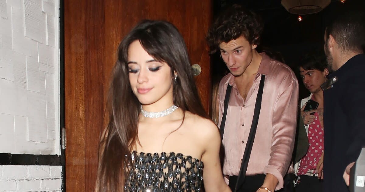 Camila Cabello Shawn Mendes Have A Steamy Post Show Reunion