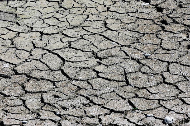 Les températures augmentent alors que la France fait face à la pire sécheresse jamais enregistrée