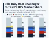 Tesla and BYD Are Dominating the Global Electric Vehicle Market