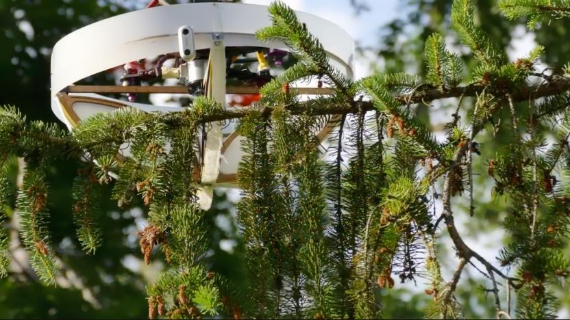 Photo of a drone designed to collect eDNA from hard-to-reach tree branches. It has an attached sticky cage and is leaning against a pine tree branch.