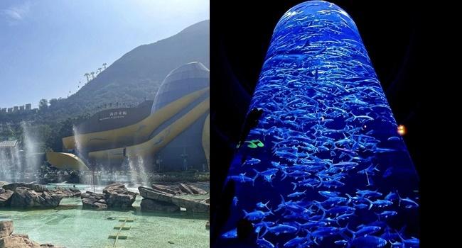 香港「海洋奇觀」驚見珍稀種