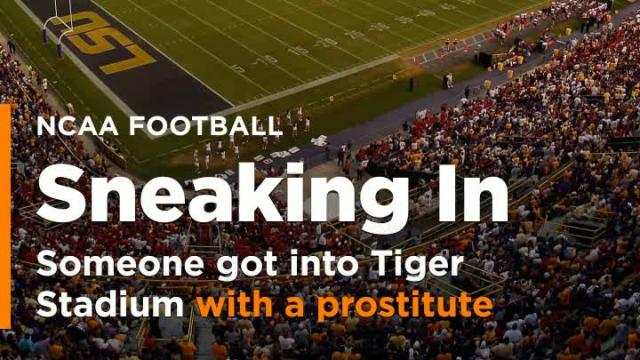 Another person gets into Tiger Stadium ... this time allegedly with a prostitute