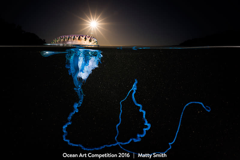 Dramatic Man-of-War Takes Top Ocean Art Photography Prize