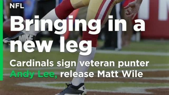 Cardinals sign veteran punter Lee, release Wile