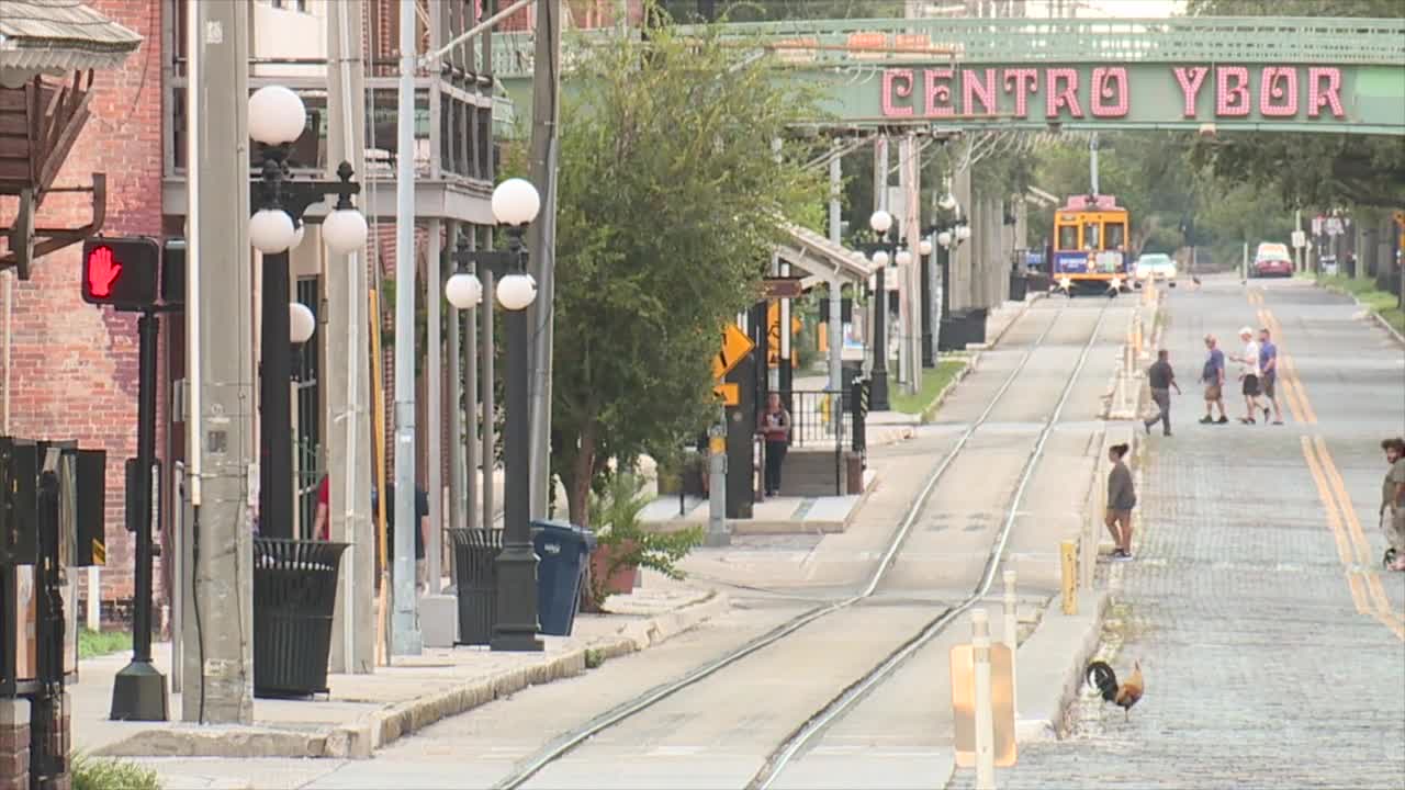 Mayor Jane Castor says she's coming around to sharing the Rays