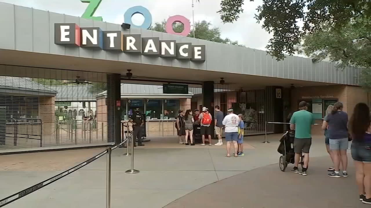 Houston Zoo reopens [Video]