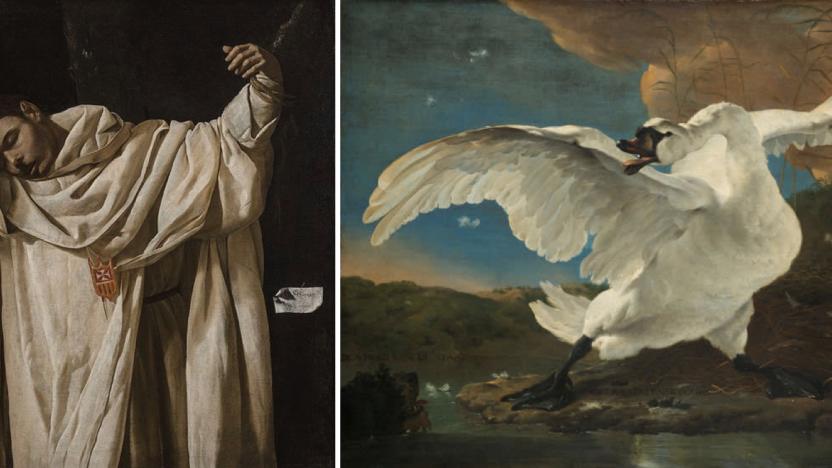 The researchers were inspired by an unlikely, yet similar pairing: Francisco de Zurbarán’s, The Martyrdom of Saint Serapion (left) and Jan Asselijn’s The Threatened Swan (right).