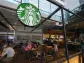 Starbucks Adds 'Innovation Farms' in Central America To Climate-Proof Coffee