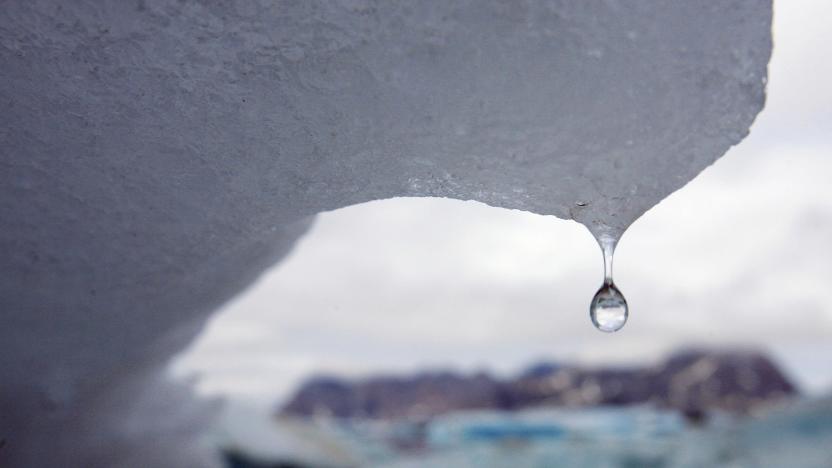 AP Photo/John McConnico