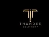 Thunder Gold Options Out the Seagull Lake and Startrek Properties