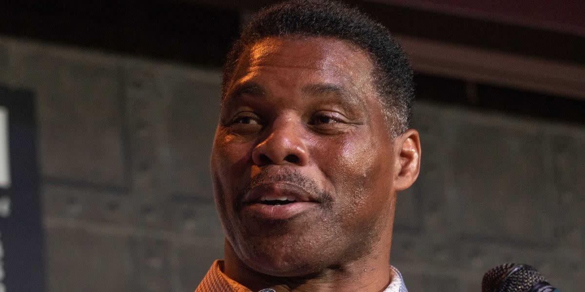 GOP Senate Candidate Herschel Walker Floats A Jaw-Dropping Air Pollution Theory