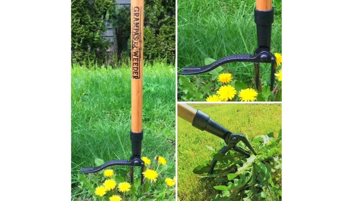 Grampa's Weeder - The Original Stand Up Weed Puller Tool with Long Handle -  Easily Remove Weeds Without Bending, Pulling, or Kneeling