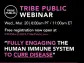 Indaptus Therapeutics to Participate in Tribe Public Webinar On Wednesday, March 20, 2024