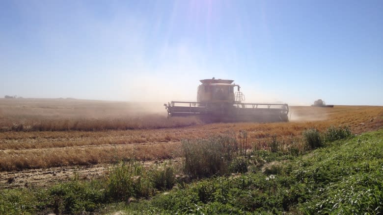 1-million-acres-of-2016-crop-still-not-fully-harvested-in-saskatchewan