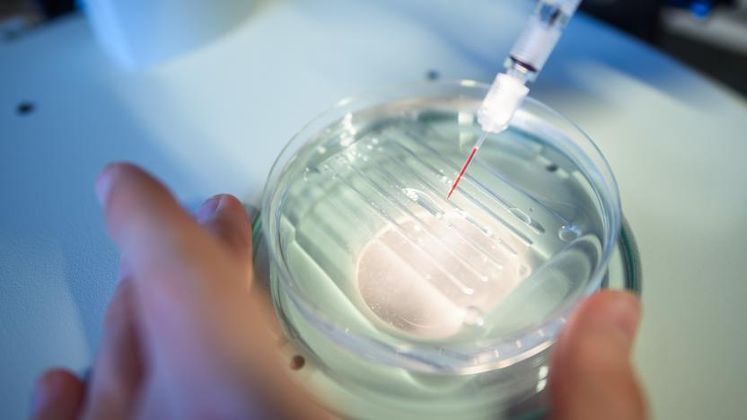 22 May 2018, Germany, Berlin: A researcher performs a CRISPR/Cas9 process at the Max-Delbrueck-Centre for Molecular Medicine. Photo: Gregor Fischer/dpa (Photo by Gregor Fischer/picture alliance via Getty Images)