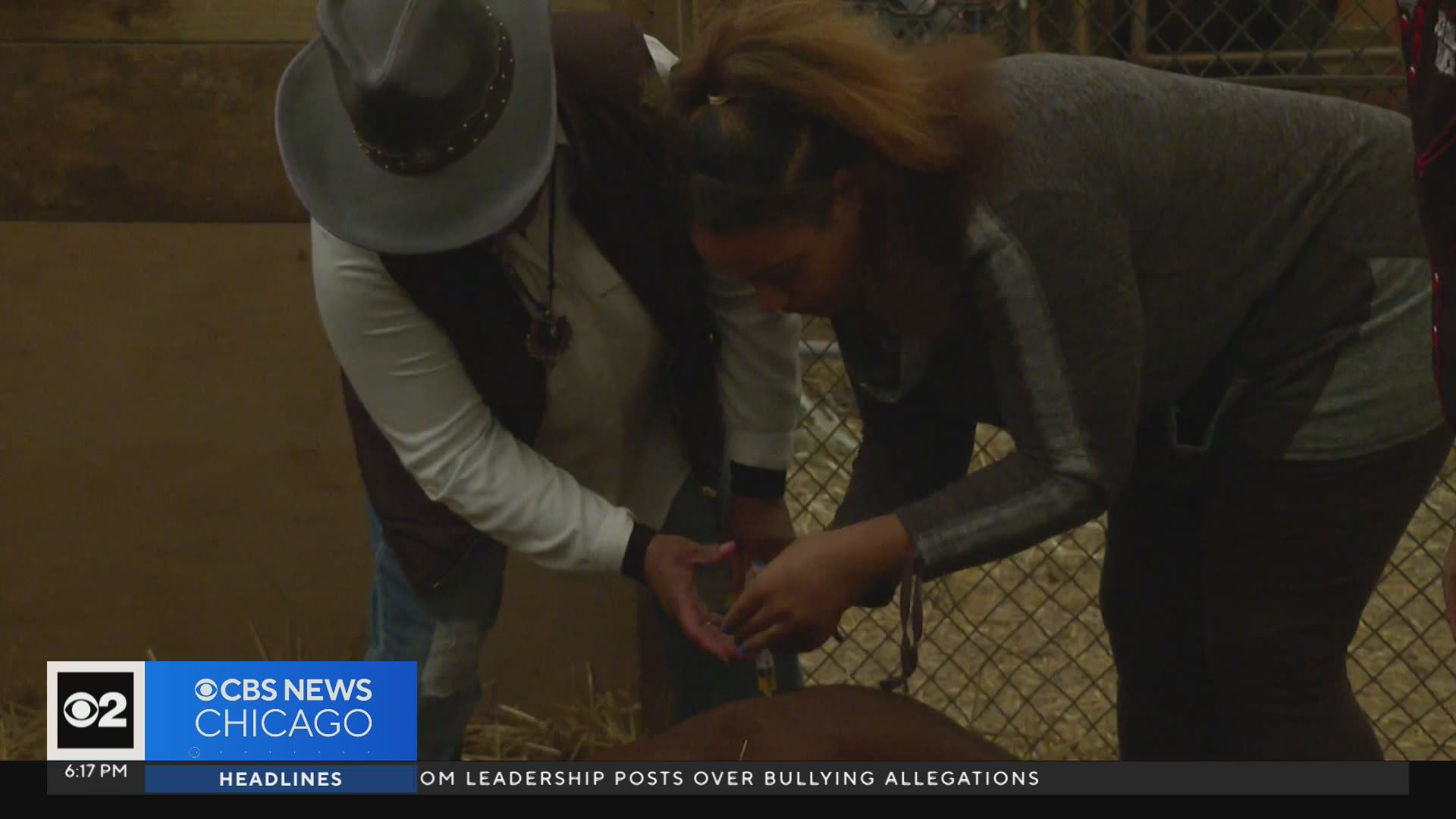 Springfield students' research help school launch new biodegradable lunch  trays