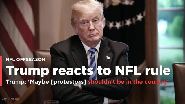 President Donald Trump says that NFL protestors 'shouldn't be in the country'