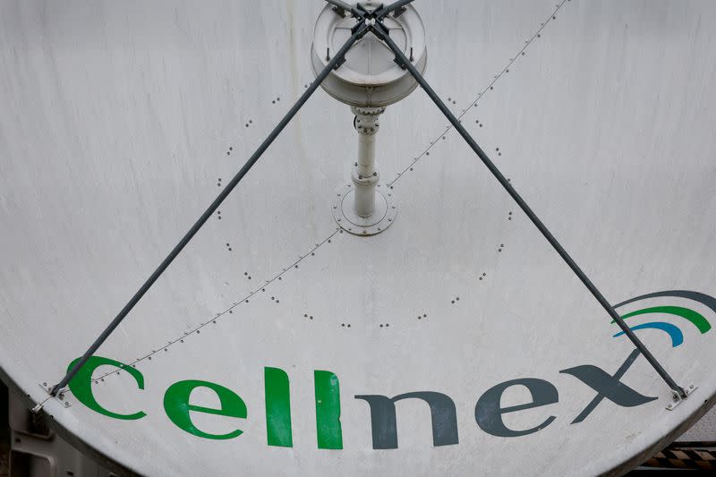 Cellnex to grow existing markets after failed DT towers bid