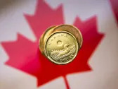 Canadian dollar hits 2-week low as investor optimism fades