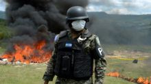 Las autoridades destruyen primera plantación de coca localizada en Honduras