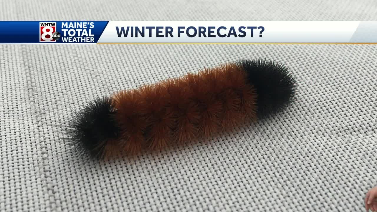 Woolly Bear Caterpillar Winter Chart