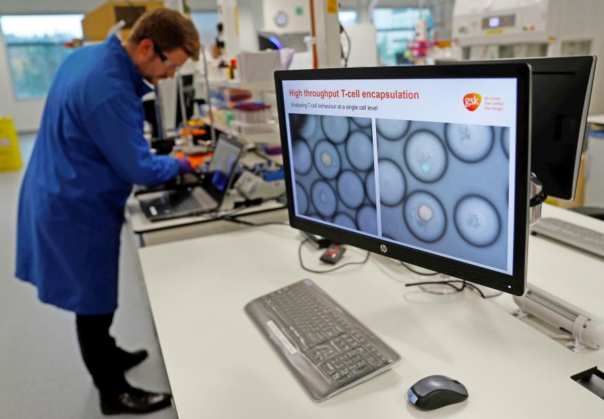 A scientist studies cancer cells inside white blood cells through a microscope at the GlaxoSmithKline (GSK) research centre in Stevenage, Britain November 26, 2019.  